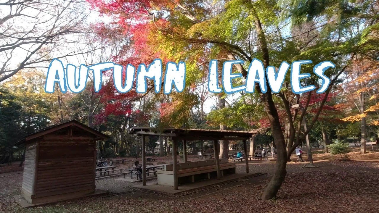 🌳 임시의 숲 공원(린시노모리코엔) 이미지 12